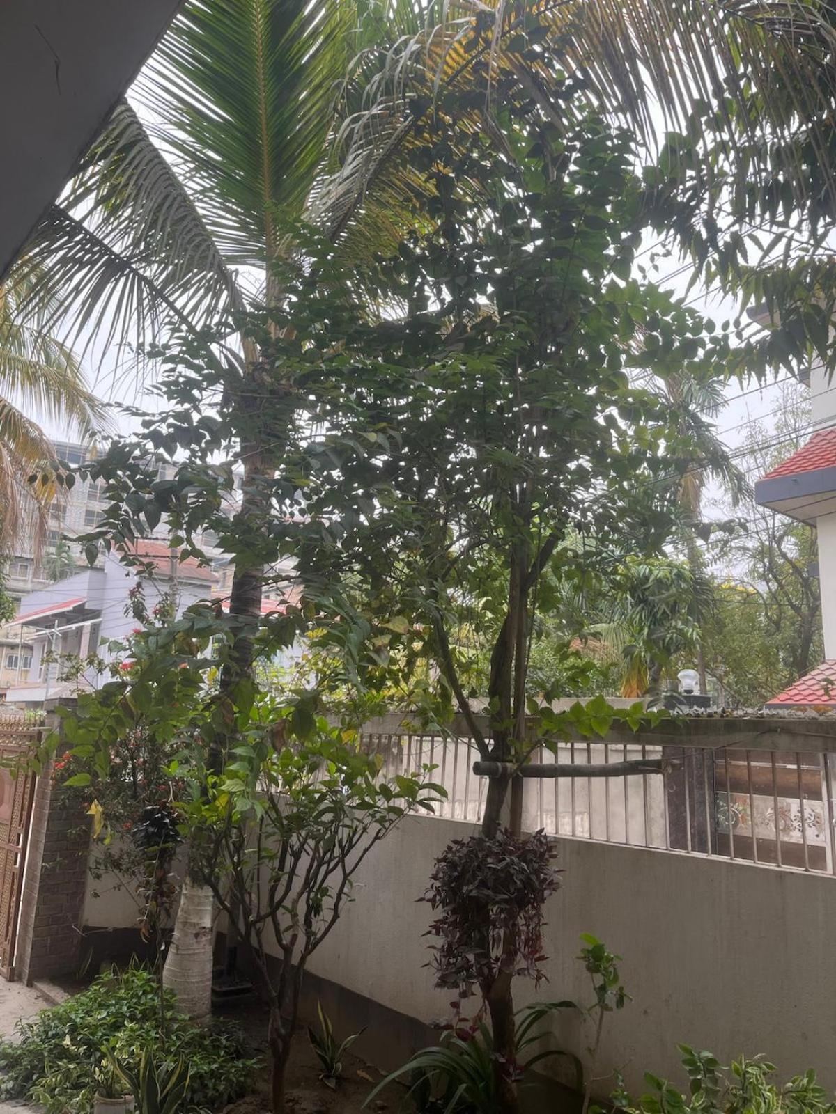 Amazing Homestay Guwahati Ngoại thất bức ảnh