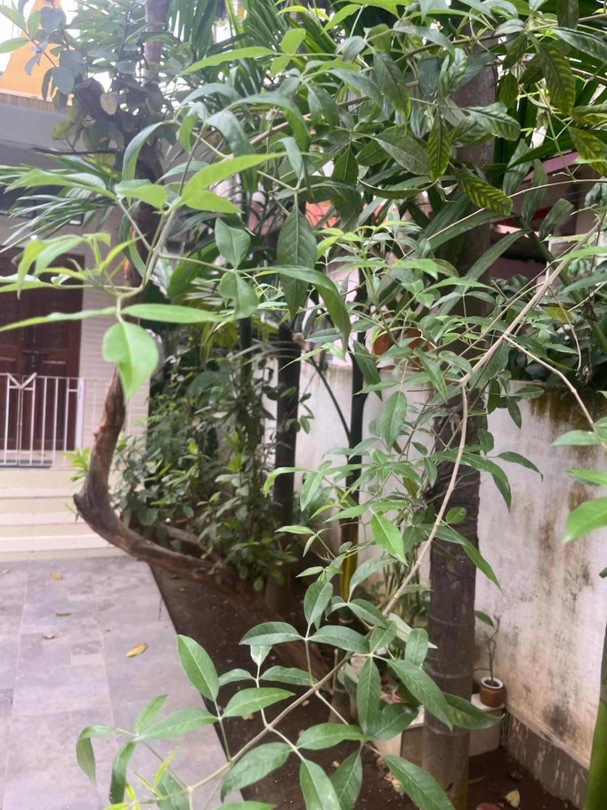 Amazing Homestay Guwahati Ngoại thất bức ảnh