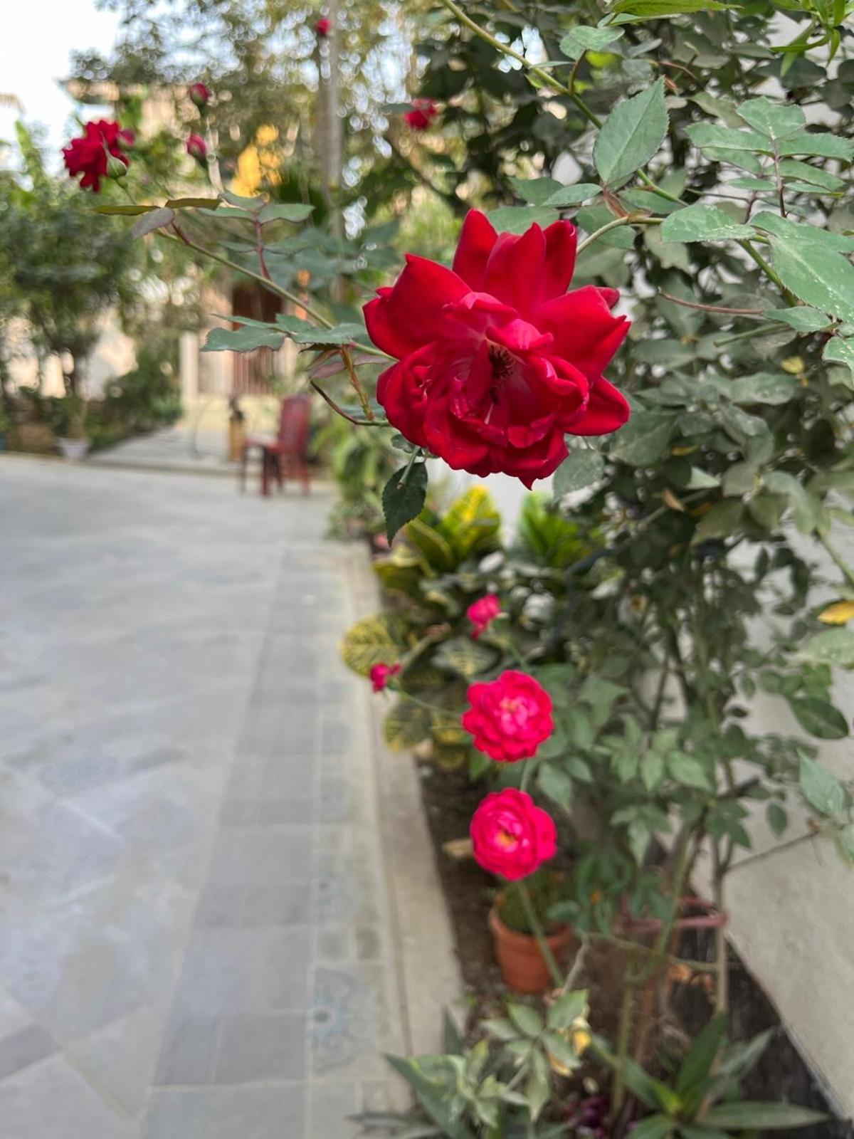 Amazing Homestay Guwahati Ngoại thất bức ảnh